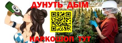 гидра Славгород