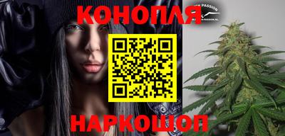 гидра Славгород