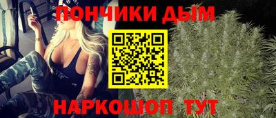 гидра Славгород