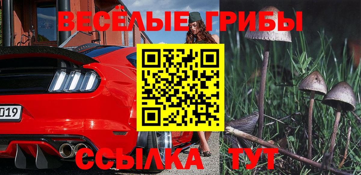 Псилоцибиновые грибы MAGIC MUSHROOMS Рузаевка